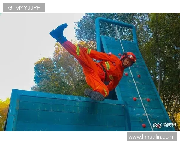 武汉排球队的蜕变之旅世界锦标赛背后的奋斗与坚持